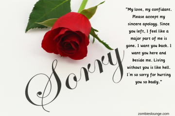 Apology